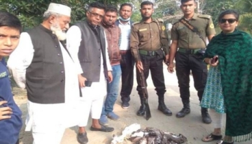 পাখি শিকারের দায়ে যুবকের কারাদণ্ড পাখি শিকারের দায়ে যুবকের কারাদণ্ড