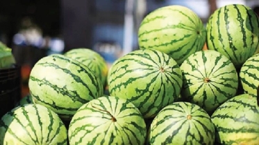 শীতাতপ নিয়ন্ত্রিত কনটেইনারে বাংলাদেশ থেকে প্রথম তরমুজ গেল মালয়েশি