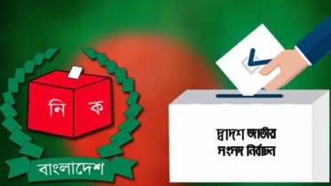 দ্বাদশ সংসদ নির্বাচন: চূড়ান্ত প্রতিবেদনে যা বলছে ইইউ
