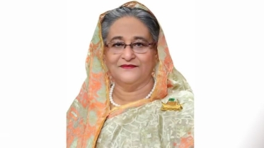 বঙ্গমাতা বেগম ফজিলাতুন নেছা মুজিব পদক প্রদান করলেন প্রধানমন্ত্রী
