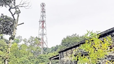 ১১০০ কোটি টাকায় বাংলালিংকের ২ হাজার টাওয়ার কিনছে সামিট ১১০০ কোটি টাকায় বাংলালিংকের ২ হাজার টাওয়ার কিনছে সামিট