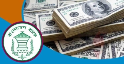 ইতিবাচক প্রবাসী আয়, ২২ দিনে এলো ১৭ হাজার কোটি টাকা