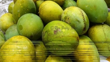 বাংলাদেশ থেকে আম আমদানি করতে চায় চীন বাংলাদেশ থেকে আম আমদানি করতে চায় চীন