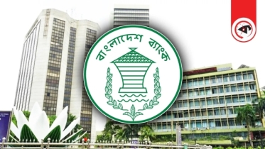 ১৪ দিনে রেমিট্যান্স এলো সাড়ে ১৬ হাজার কোটি টাকা ১৪ দিনে রেমিট্যান্স এলো সাড়ে ১৬ হাজার কোটি টাকা