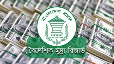 মোট বৈদেশিক মুদ্রার রিজার্ভ ২৪ বিলিয়ন ডলার ছাড়িয়ে গেছে মোট বৈদেশিক মুদ্রার রিজার্ভ ২৪ বিলিয়ন ডলার ছাড়িয়ে গেছে