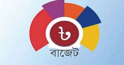 ৩৩৫ আমদানি পণ্যে শুল্ক আরোপ করতে যাচ্ছে সরকার ৩৩৫ আমদানি পণ্যে শুল্ক আরোপ করতে যাচ্ছে সরকার